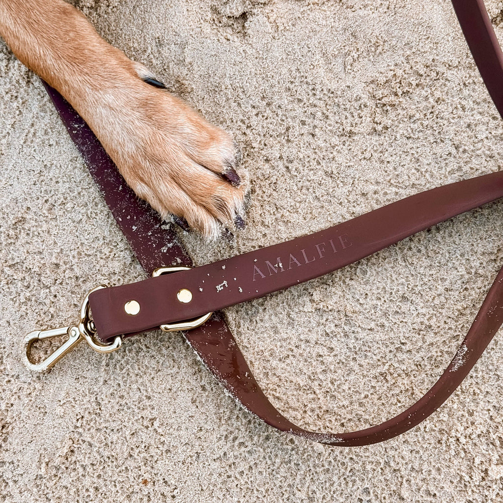Hands-free Dog Leash 240 cm – 25 mm – Espresso Brown