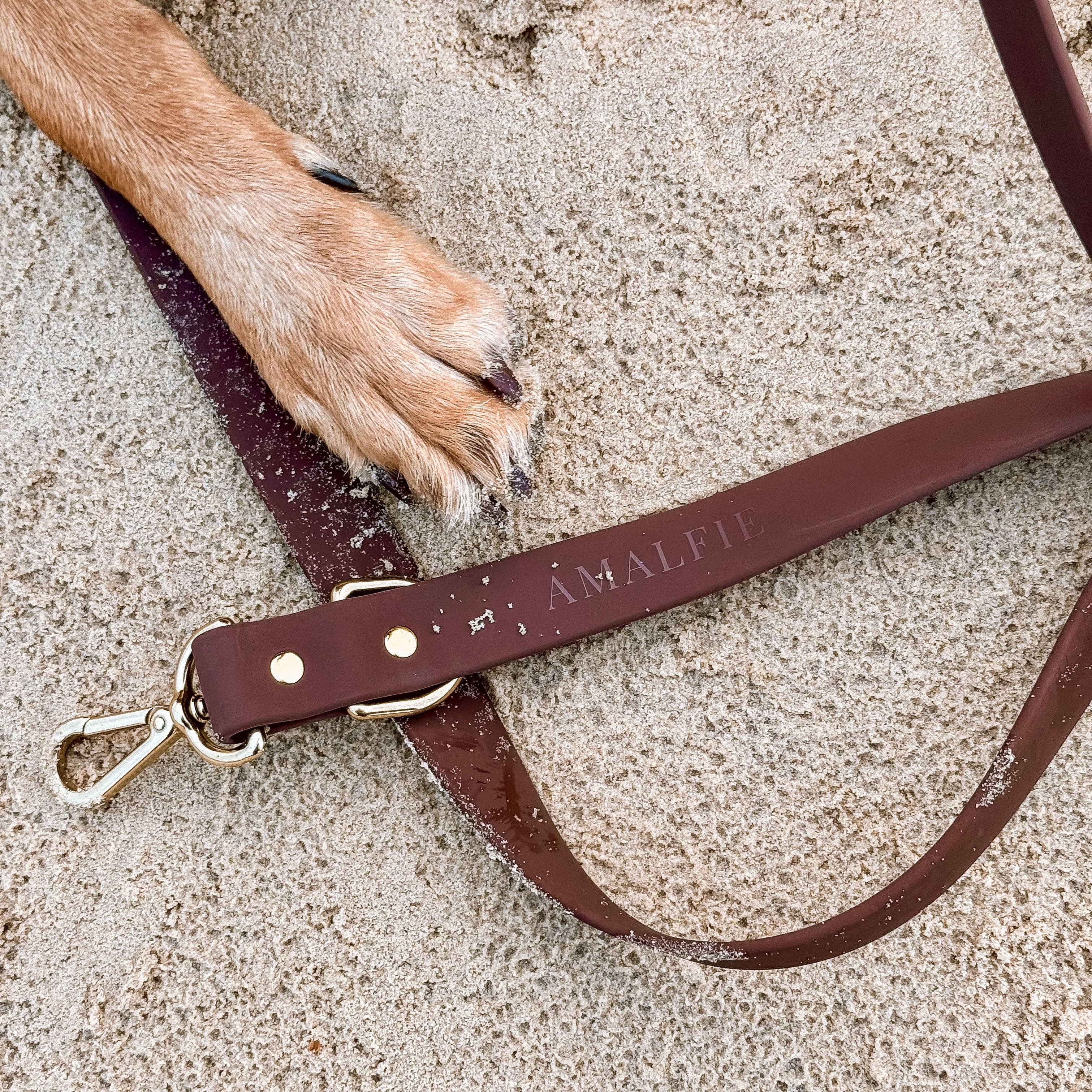 Hands-free Dog Leash 240 cm – 25 mm – Espresso Brown