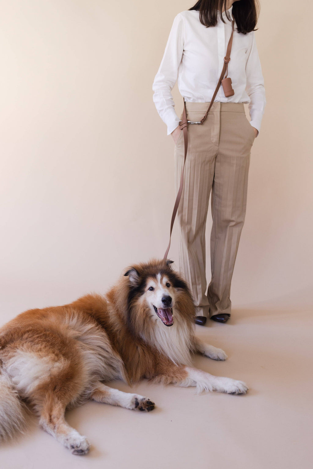 PRILTON - HUNDESNOR HANDSFREE