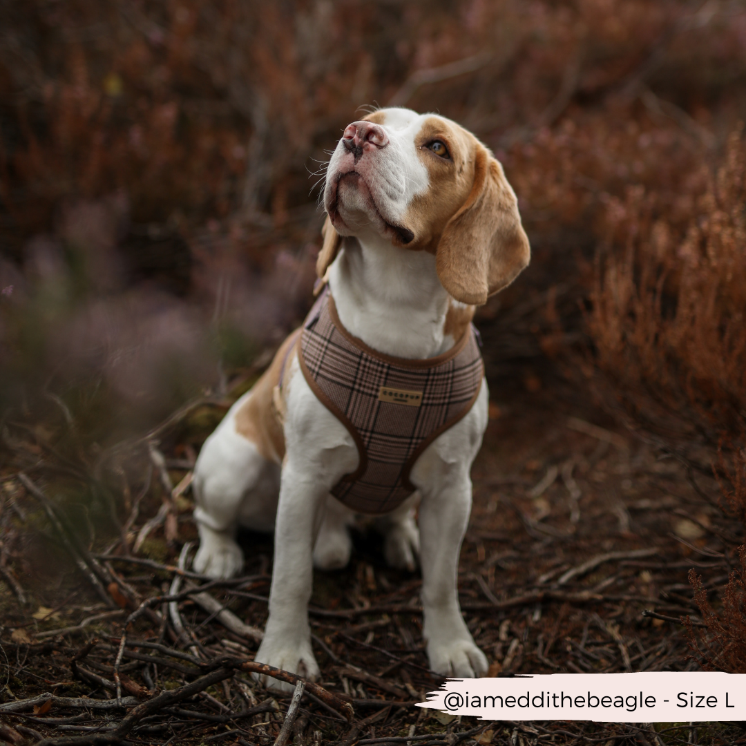 Pup Plaid justerbar halssele: L