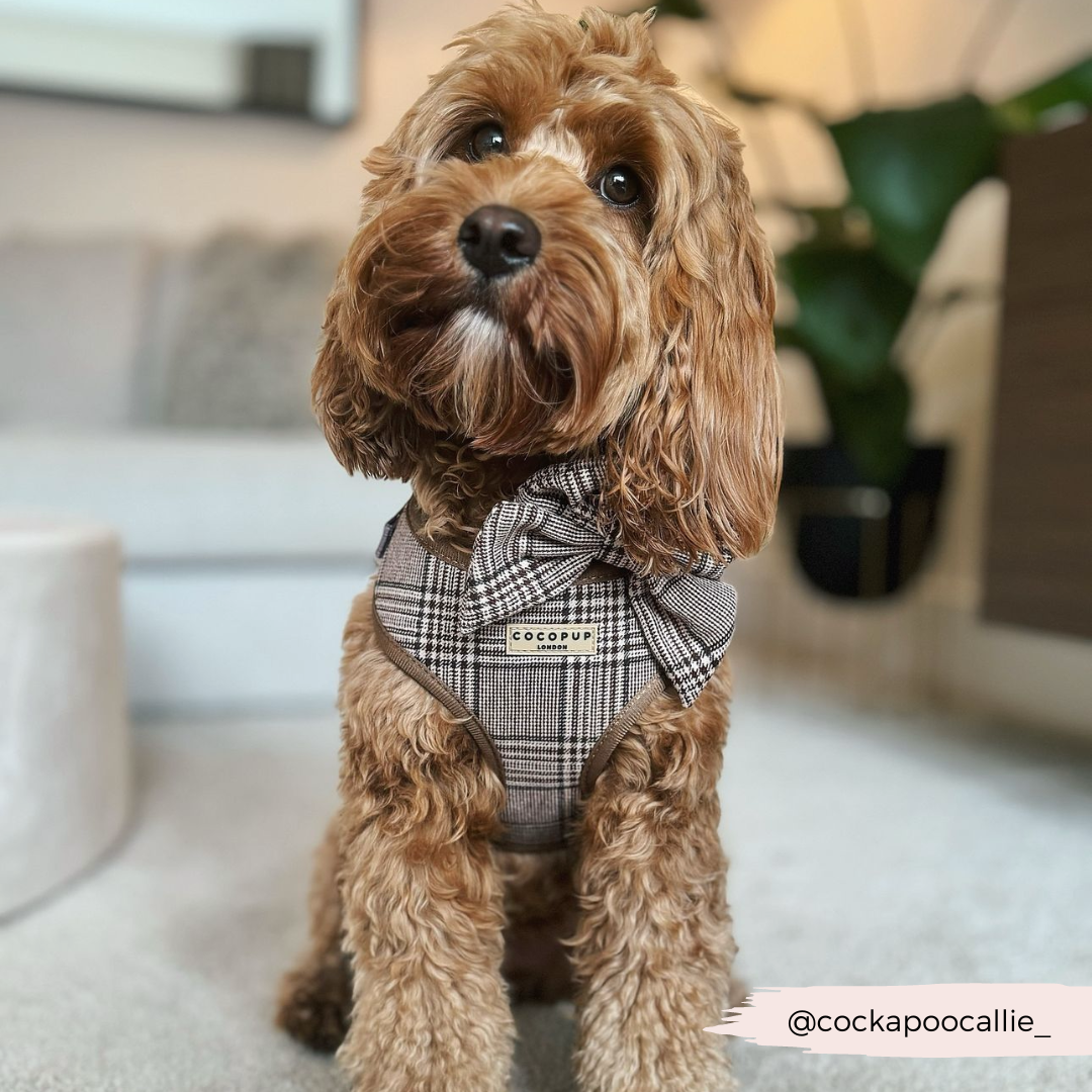 COCOPUP LONDON - Pup Plaid sailor bow for dogs