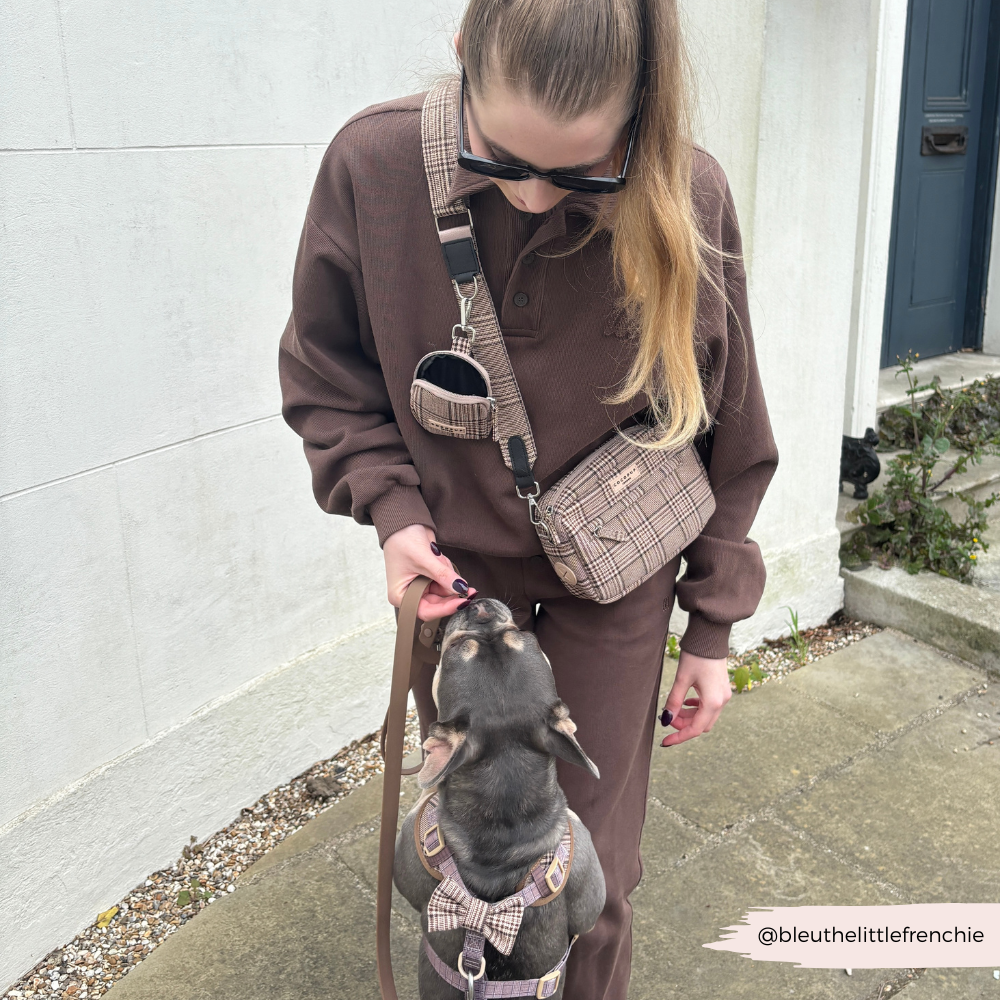 COCOPUP LONDON - Dog Poo Bag and Treat Holder - Pup Plaid