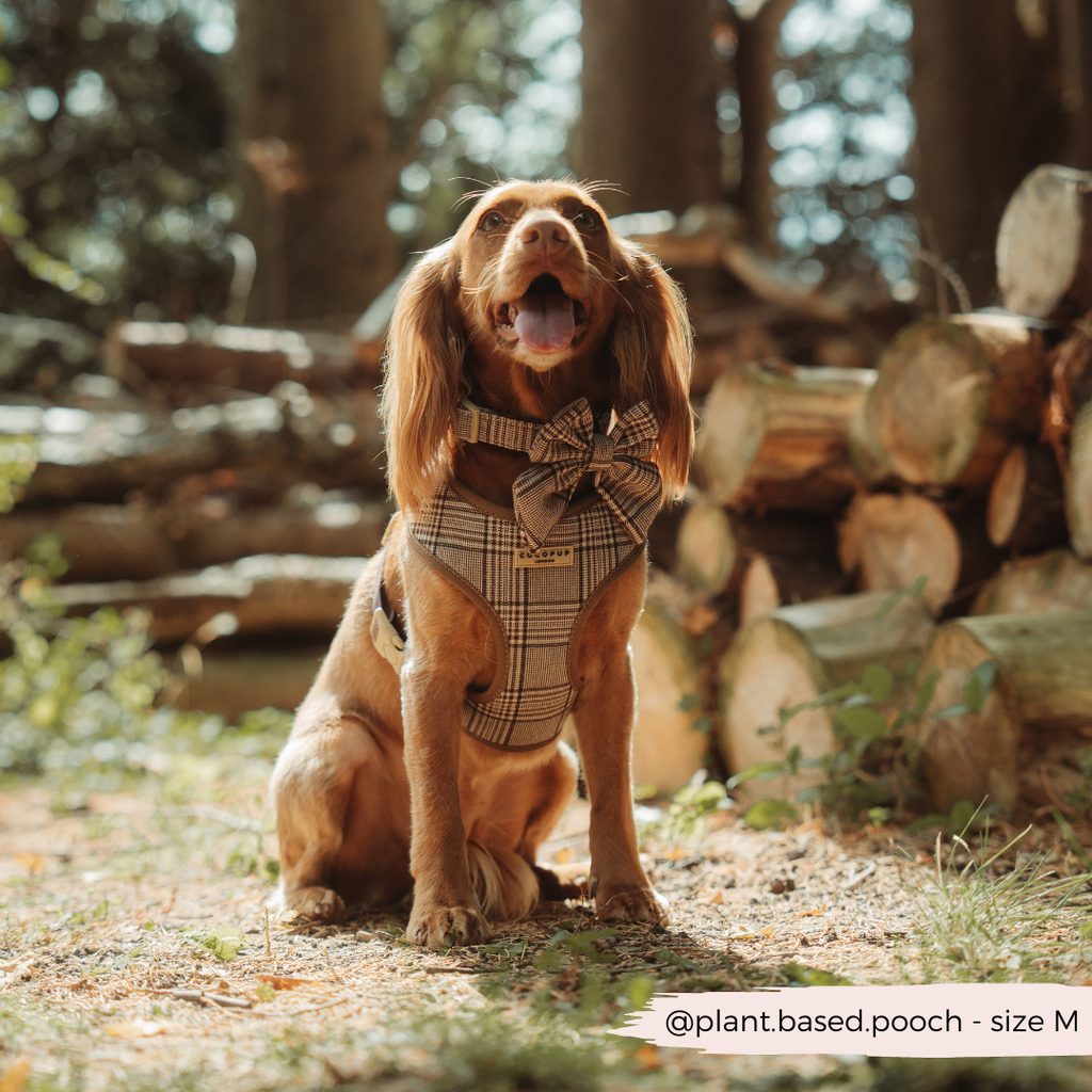COCOPUP LONDON - Hundehalsbånd i ternet design: Stor
