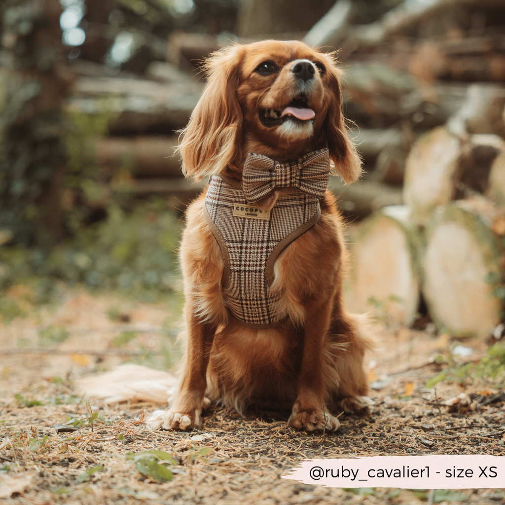 Pup Plaid justerbar halssele: L