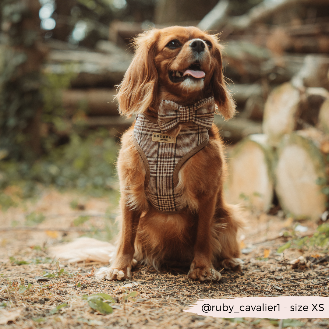 Pup Plaid justerbar halssele: L