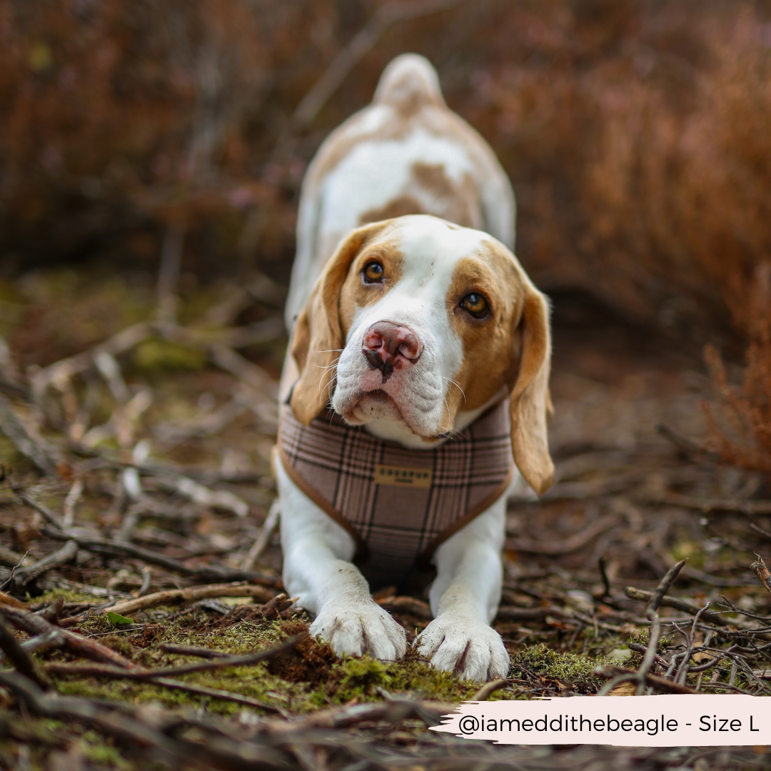 Pup Plaid justerbar halssele: L