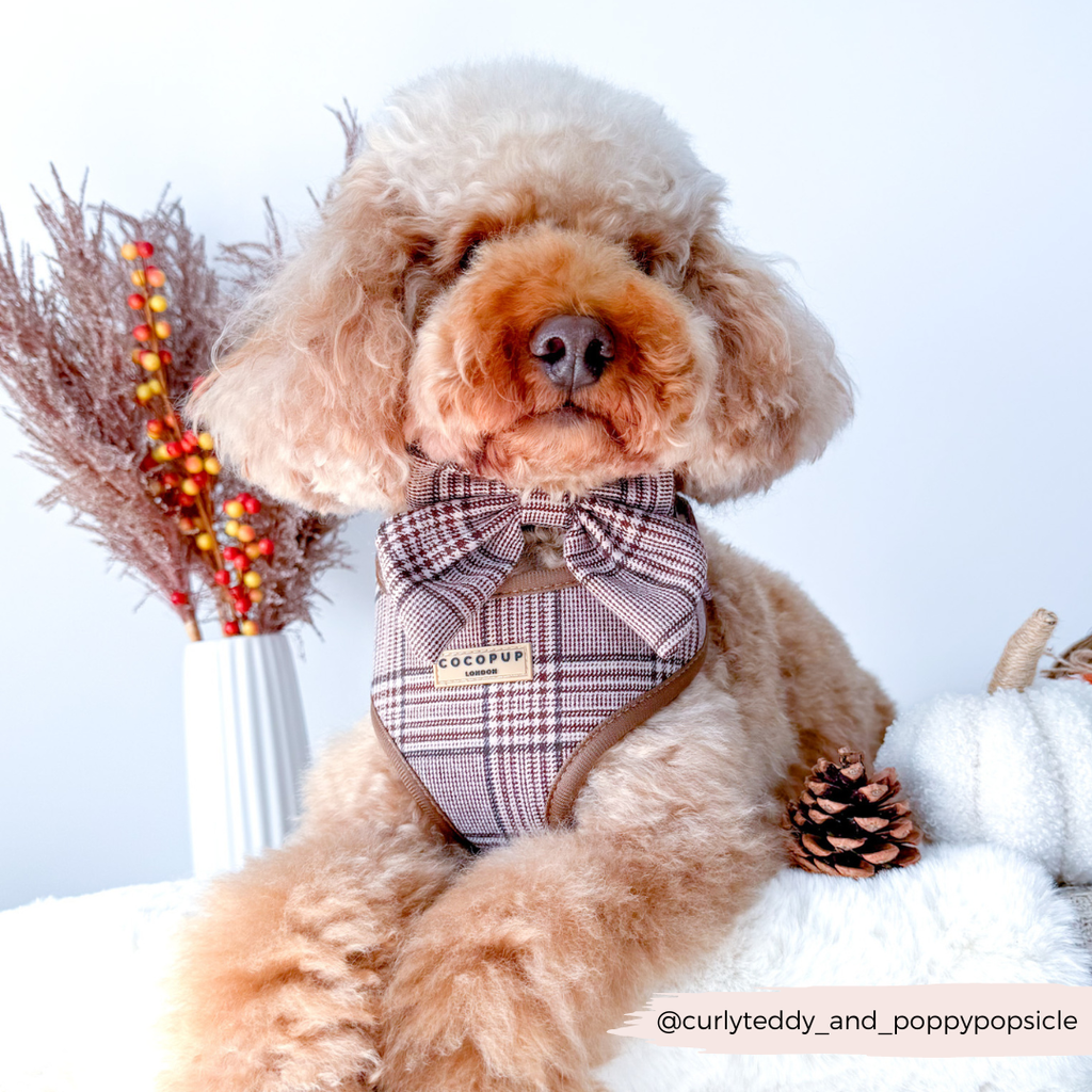 Pup Plaid justerbar halssele: L