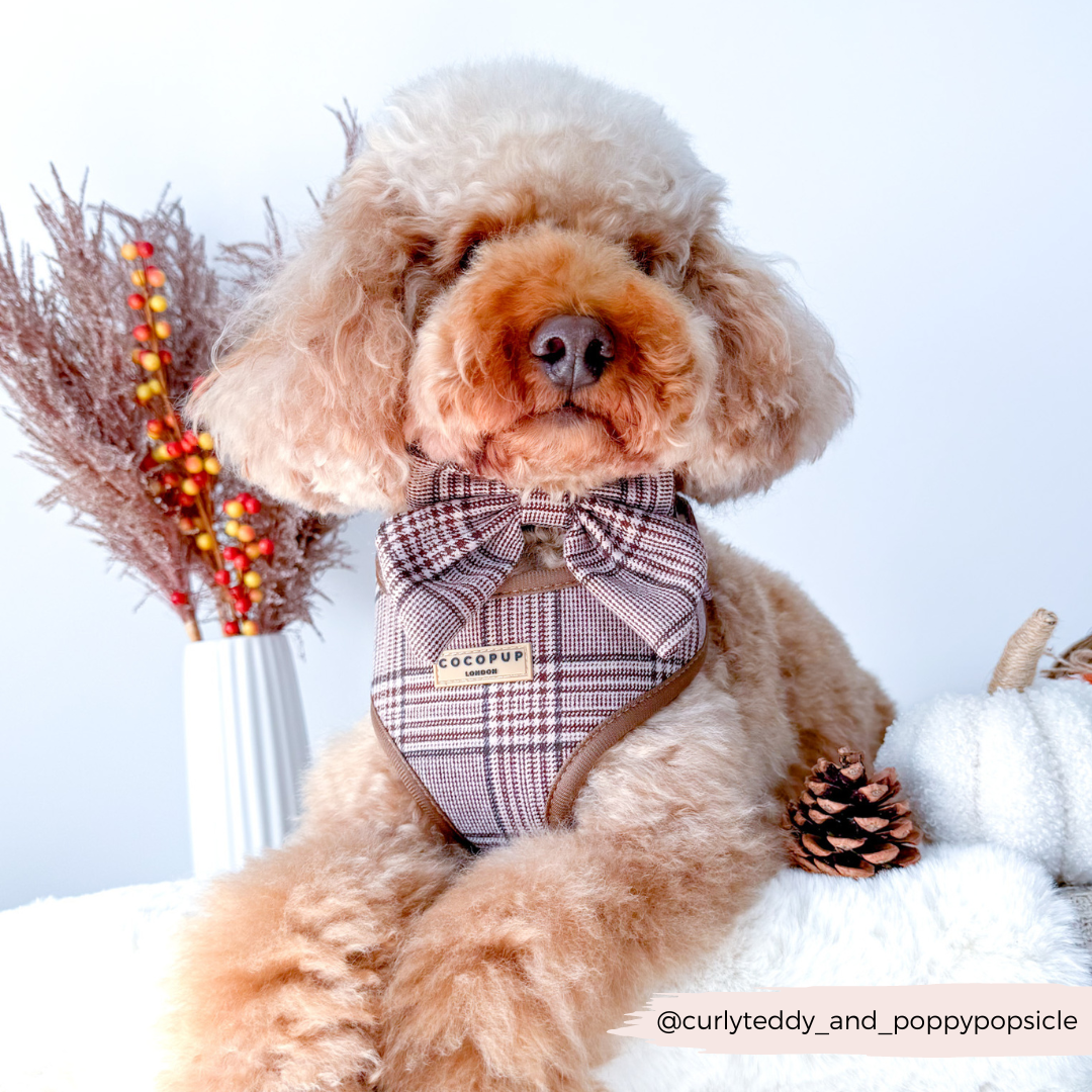 Pup Plaid justerbar halssele: L