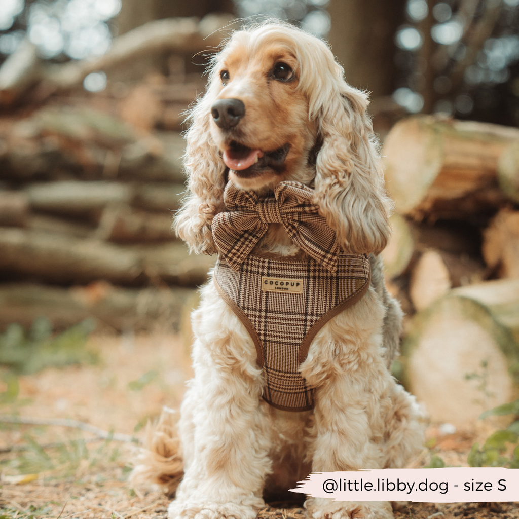 Pup Plaid justerbar halssele: L