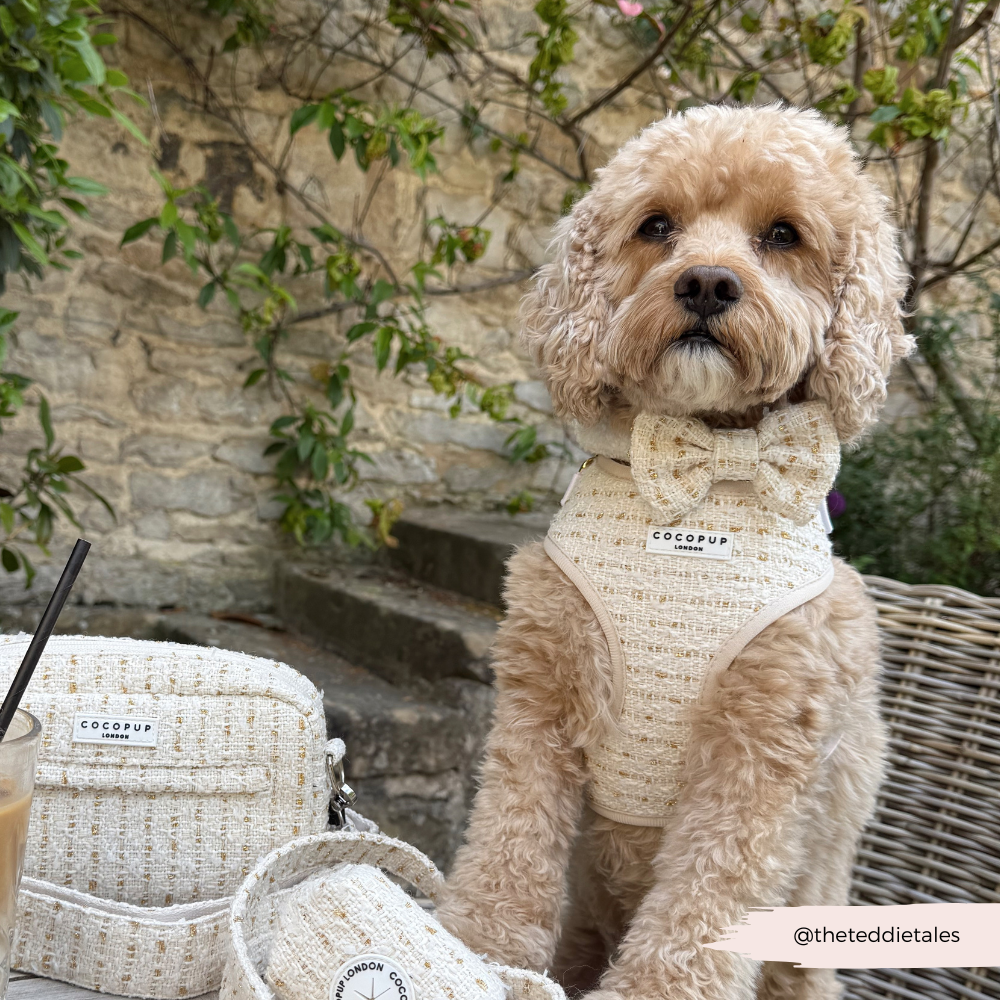 Dog waste bag holder in vanilla textured tweed