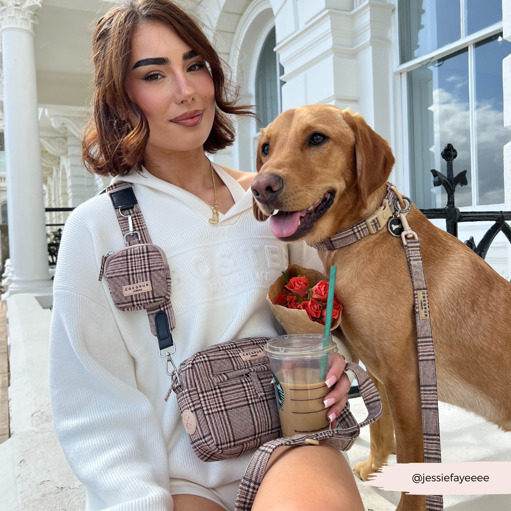 COCOPUP LONDON - Dog Poo Bag and Treat Holder - Pup Plaid