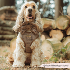 COCOPUP LONDON - Pup plaid justerbar sele
